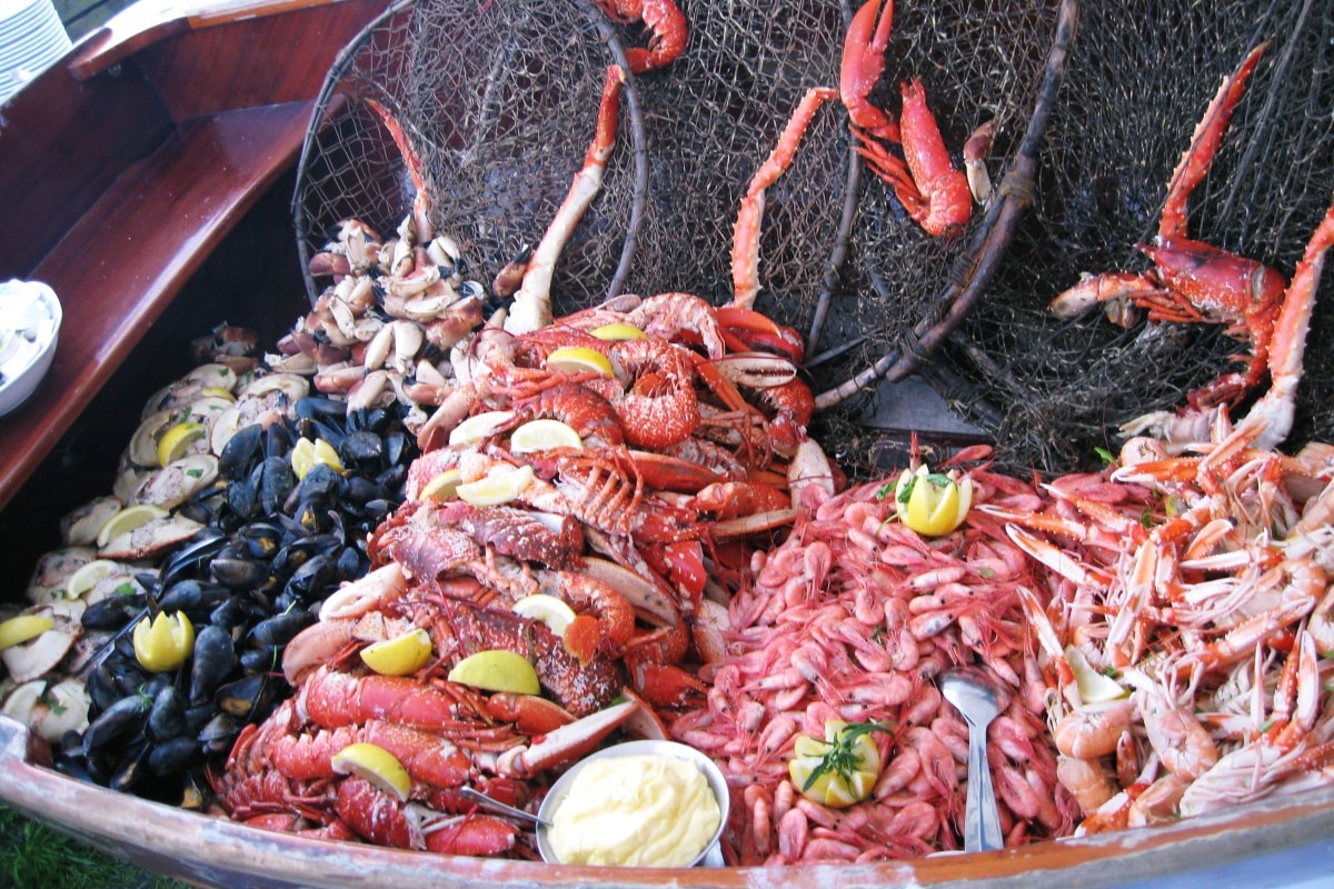 Das Abendessen kommt frisch aus dem Meer